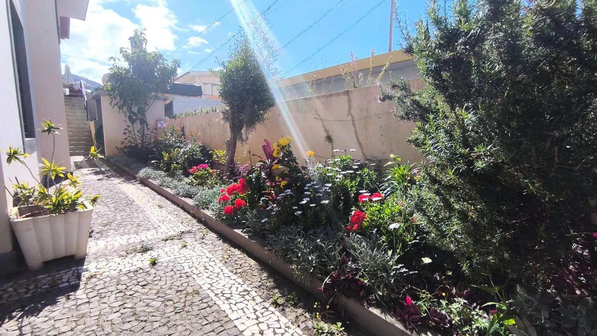 Villa Telo Funchal  0*, Funchal (Madeira)