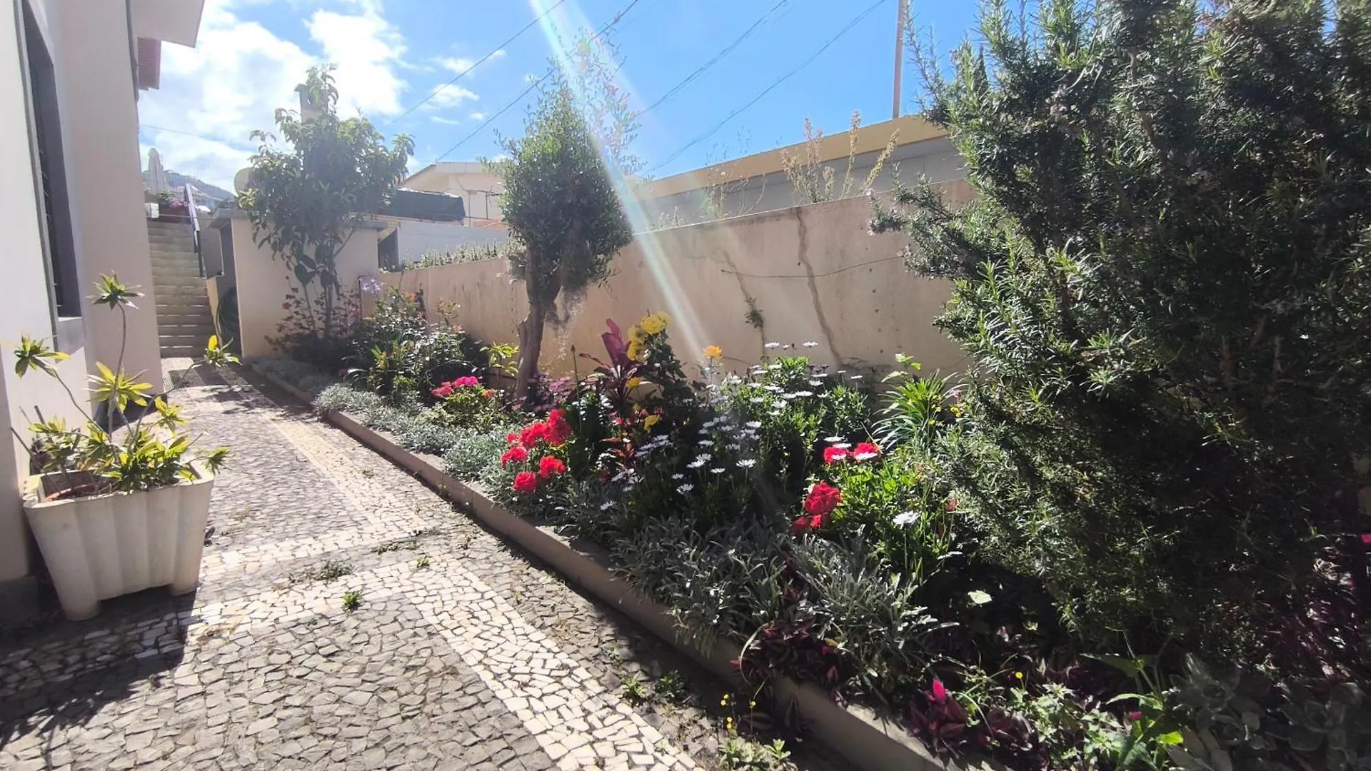 Villa Telo Funchal