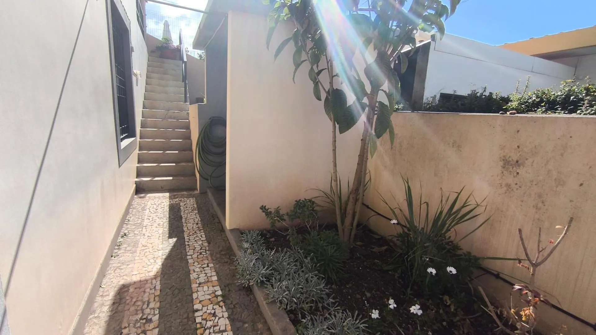 Villa Telo Funchal  Funchal (Madeira)